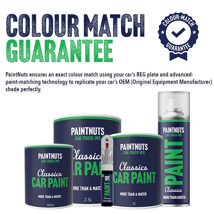 Touch Up Pen for Classic Cars